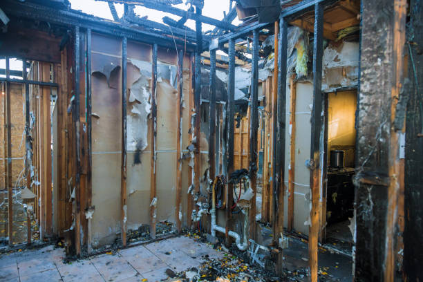 Professional Fire Damage Removal technician working in Centreville, MD