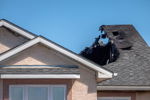 Top rated local Fire Damage Removal specialists in Centreville, MD